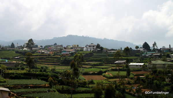 02 Nuwara Eliya