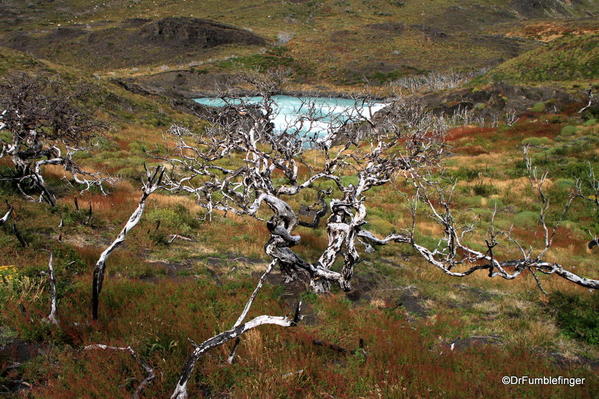 02 Paines Massif, Torres Del Paine (110)