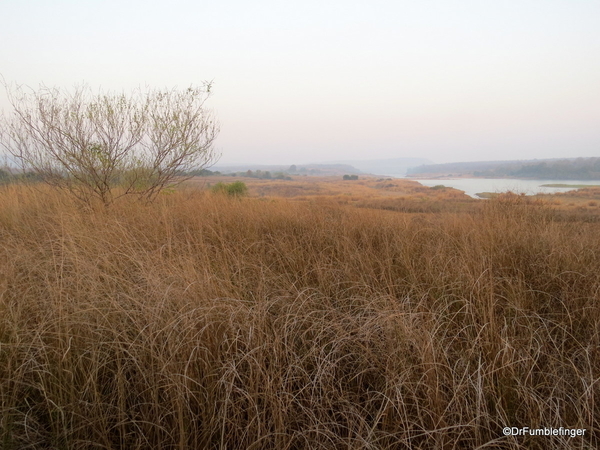 02 Panna Tiger Reserve (14)