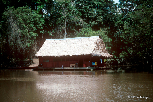 02 Peruvian Amazon