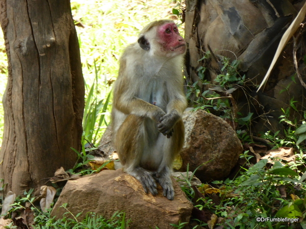 02 Polonnaruwa