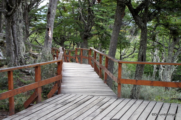 02 Tierra del Fuego National Park