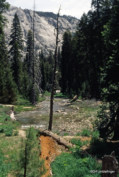 02 Tokopah Falls Trail