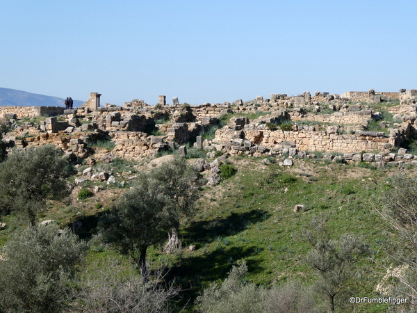 02 Volubilis