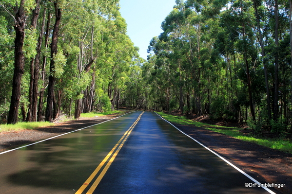 02 Waimea Canyon State Park