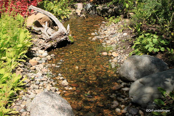 Stream, Betty Ford Alpine Garden, Vail