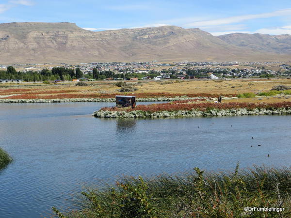 El Calafate, Argentina. Laguna Nimez Nature Preserve