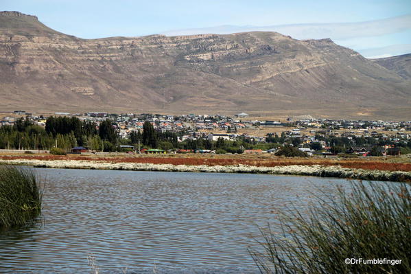 El Calafate, Argentina. Laguna Nimez Nature Preserve