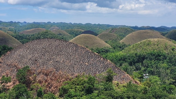 Chocolate hills