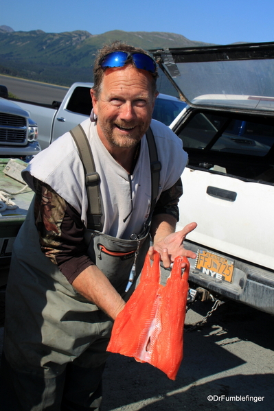 03 20 mile River Coho Salmon (1)