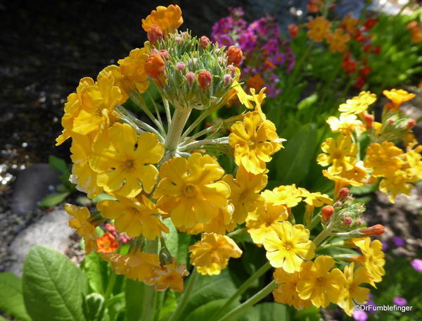 03 Betty Ford Alpine Garden