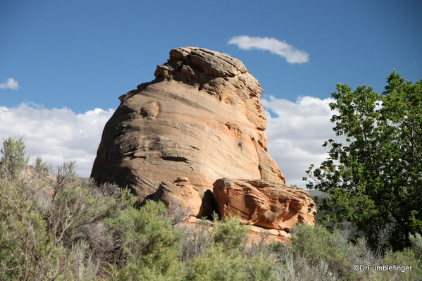 03 Dinosaur National Monument. Car Tour (60) Elephant toes rock, along Cub Creek Road