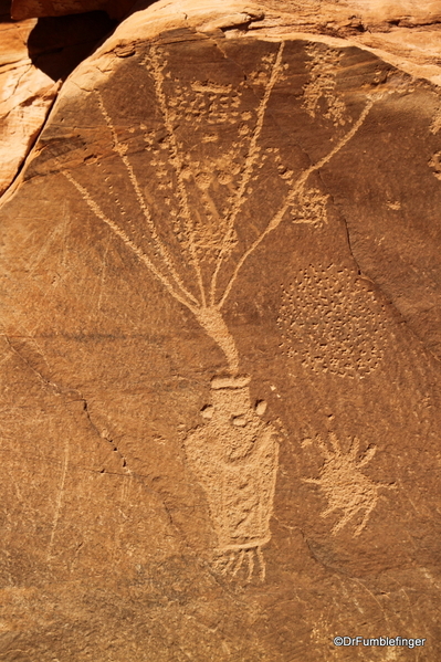 03 Dinosaur National Monument. Car Tour (63) Cub Creek Petroglyphs