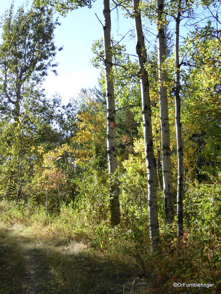 03 Fish Creek Provincial Park