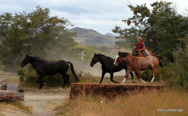 03 Hotel Las Torres, Torres del Paine (36)