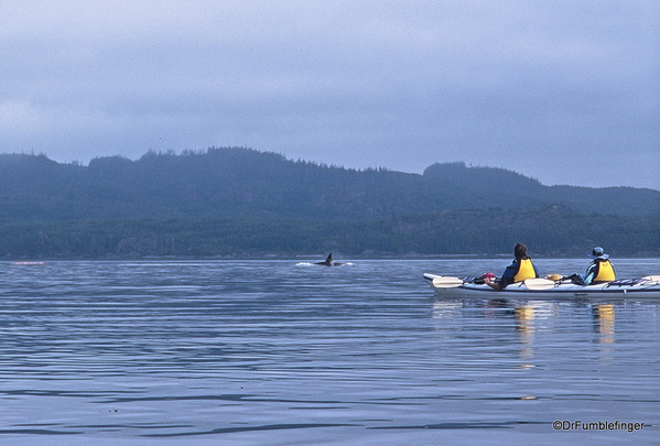 03 Johnstone Strait