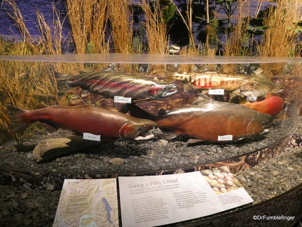 03 Kodiak National Wildlife Refuge Visitor Center