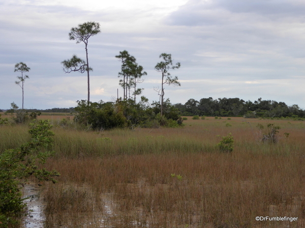 03 Mahogany Hammock Trail