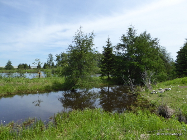 03 Mission Island Marsh