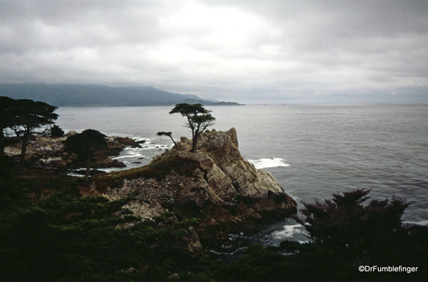 03 Monterey trip with dad 05-1994 (7)