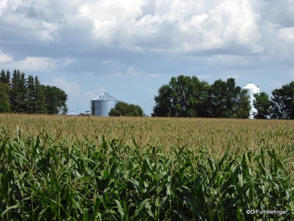 03 Prairie crops, Manitoba (4)