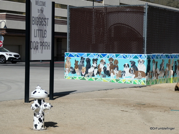 03 Reno Dog Park