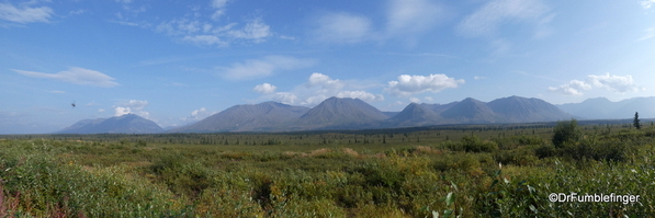 03 South of Denali