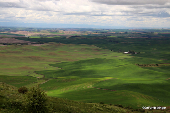 03 Steptoe Butte State Park (11)