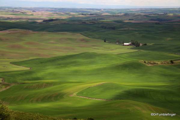 03 Steptoe Butte State Park (13)