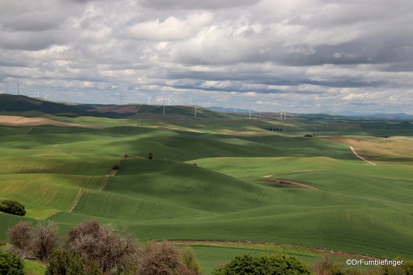 03 Steptoe Butte State Park (28)