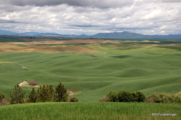 03 Steptoe Butte State Park (32)