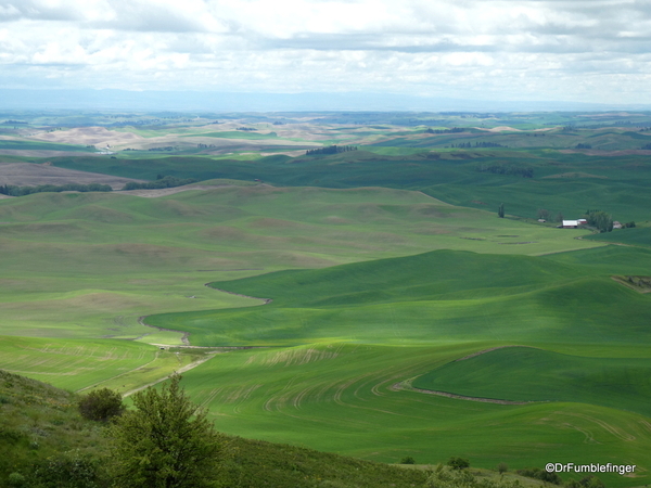 03 Steptoe Butte State Park (39)