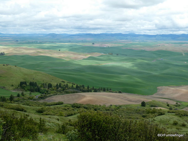 03 Steptoe Butte State Park (41)