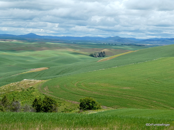 03 Steptoe Butte State Park (44)