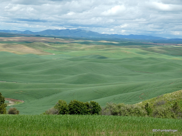 03 Steptoe Butte State Park (45)