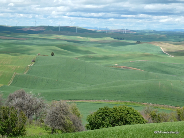 03 Steptoe Butte State Park (47)