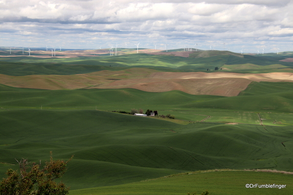 03 Steptoe Butte State Park (6)