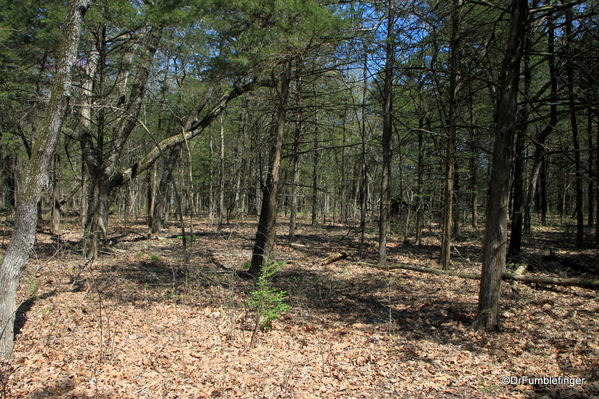 03 Table Lake Lakeside Trail