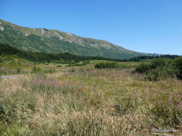 03 Turnagain Pass