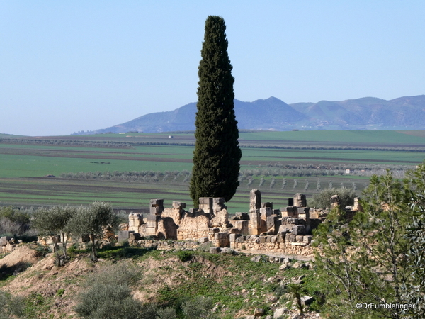 03 Volubilis