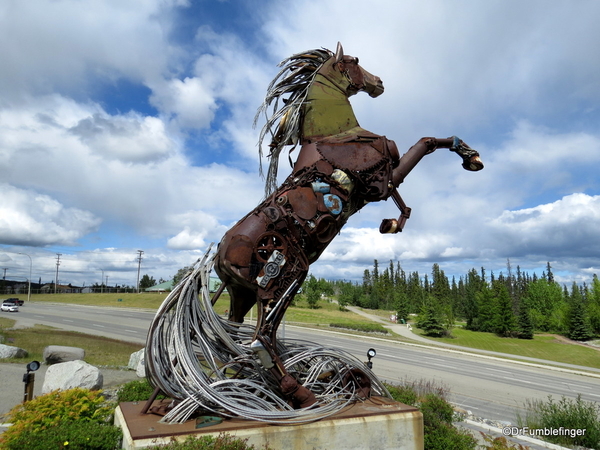 03 Whitehorse Stallion (3)