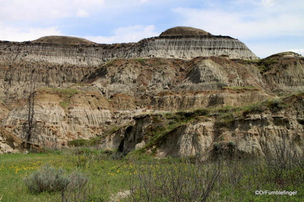 Scenery on the floor of Horseshoe Canyon