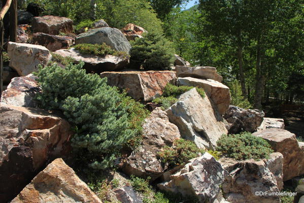 Betty Ford Alpine Garden, Vail