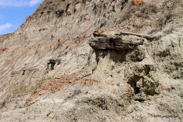 Erosion forming a small Hoodoo, Horseshoe Canyon