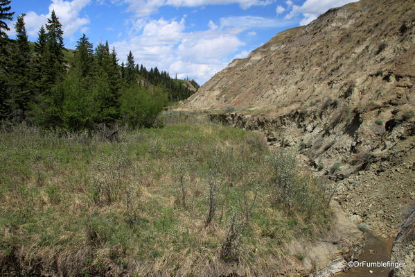 Scenery on the floor of Horseshoe Canyon