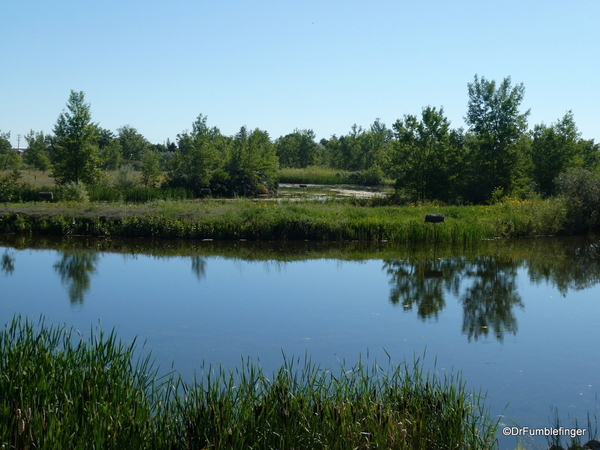 04 Birds of Prey Center, Coaldale