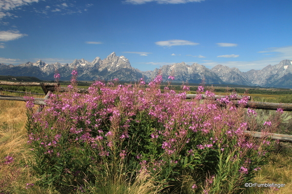 04 Buckrail fencing, Grand Teton National Park