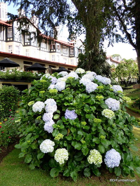 04 Grand Hotel, Nuwara Eliya (41)