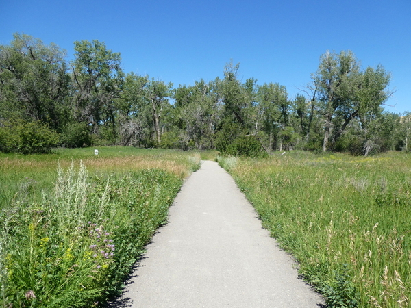 04 Helen Schuler Nature Centre Hike