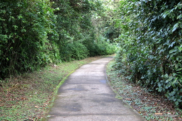 04 Hike in Arenal NP